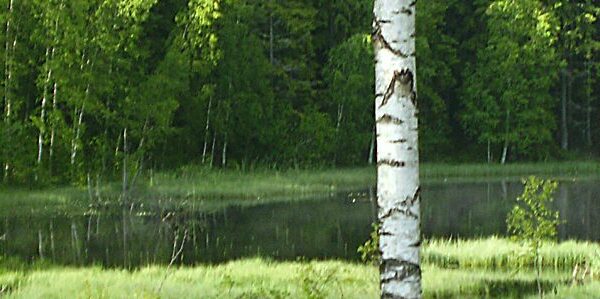 Nya-hemmet-hemsida-017